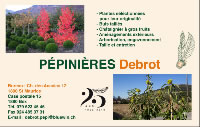 Pépinière Debrot