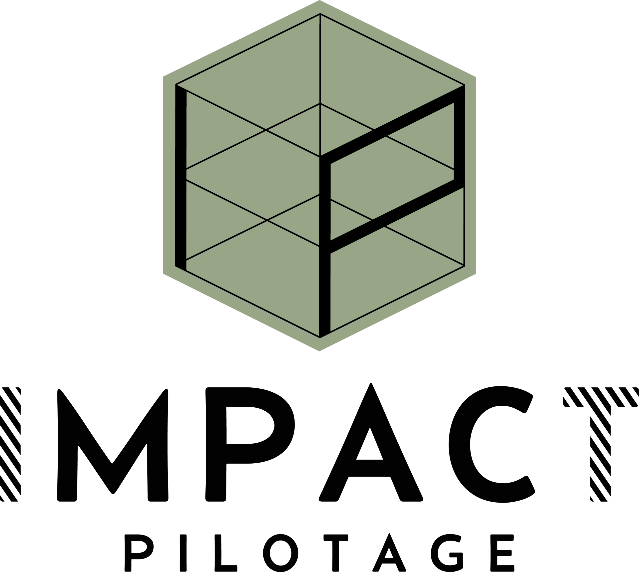 Impact Pilotage